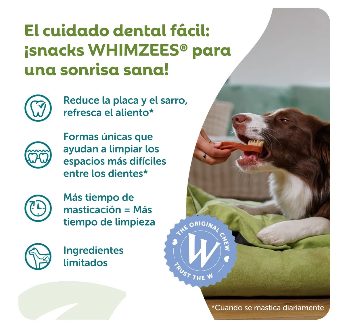 WHIMZEES Cepillos de Dientes L, Caja Mensual, 30 Piezas – Talla L, Golosinas para Perros Grandes, Naturales y Sin Cereales, Vegetarianas, Sin Azúcares Añadidos