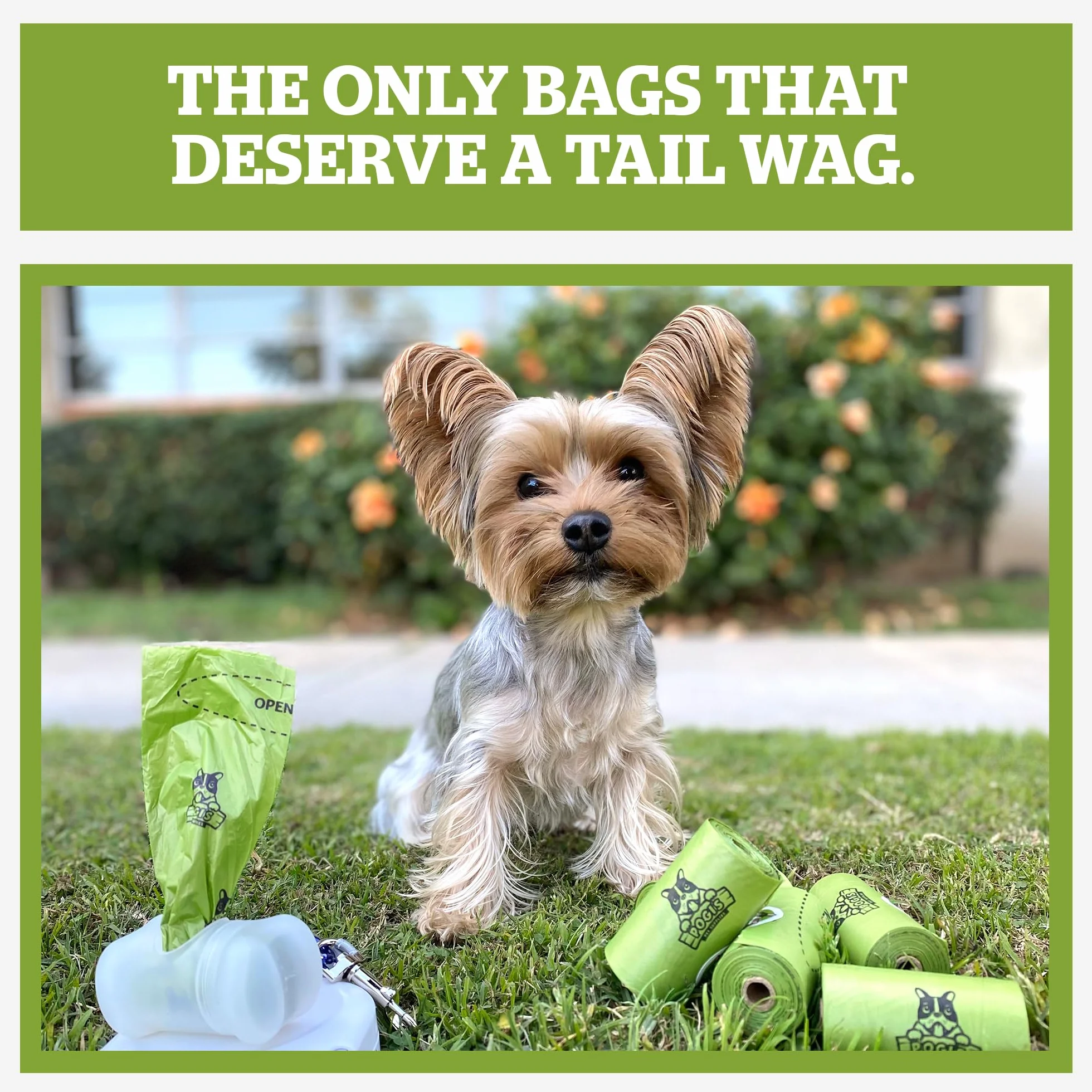 Pogi's Poop Bags - Bolsas Compostables para excremento de Perro - 32 Rollos (480 Bolsas) - Impermeable, Vegetal, Bolsas Compostables para Residuos de Perros con Certificación ASTM D6400, EN 13432