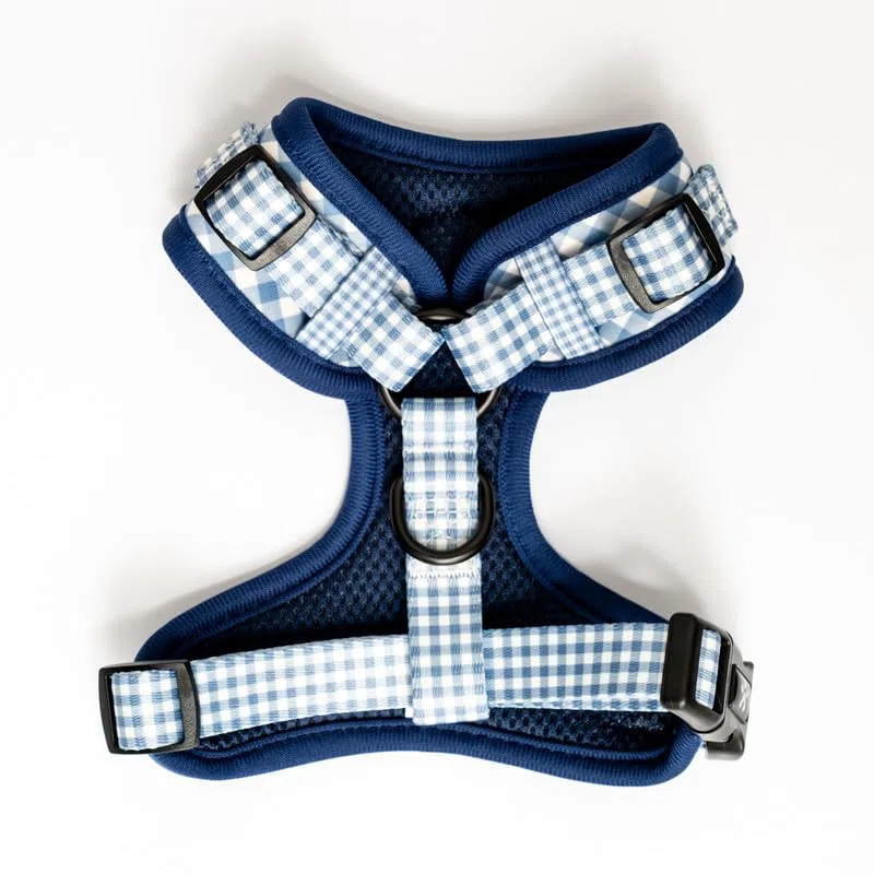 Arnés M Vaquero para Perro Ajustable de Neopreno - Diseño Vichy - 4 Tallas - Arnés Cómodo y Resistente para Perros