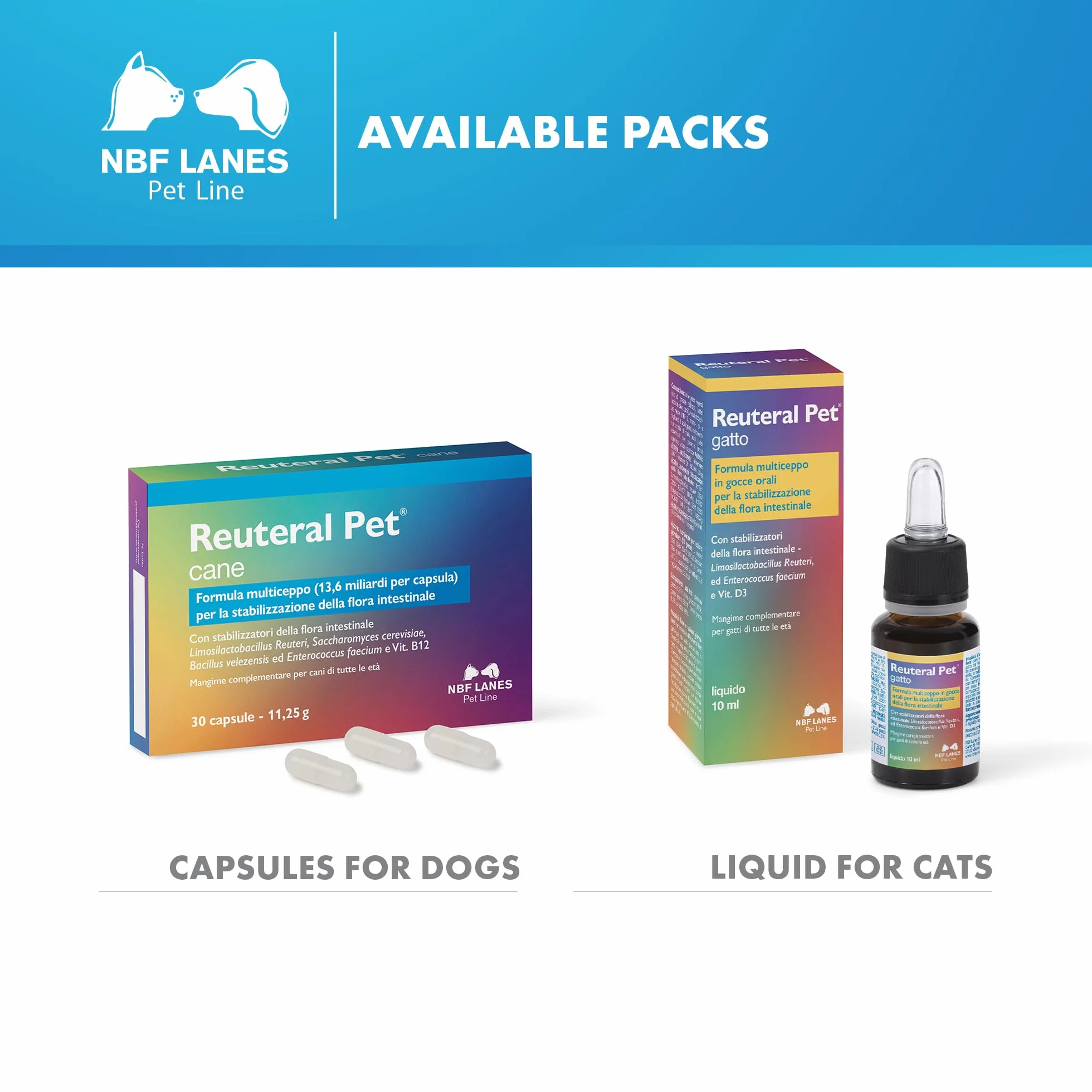 NBF Lanes | Reuteral Pet Gato, Gotas orales, Probiótico a base de fermentos lácticos vivos para estabilizar la Flora intestinal en Gatos