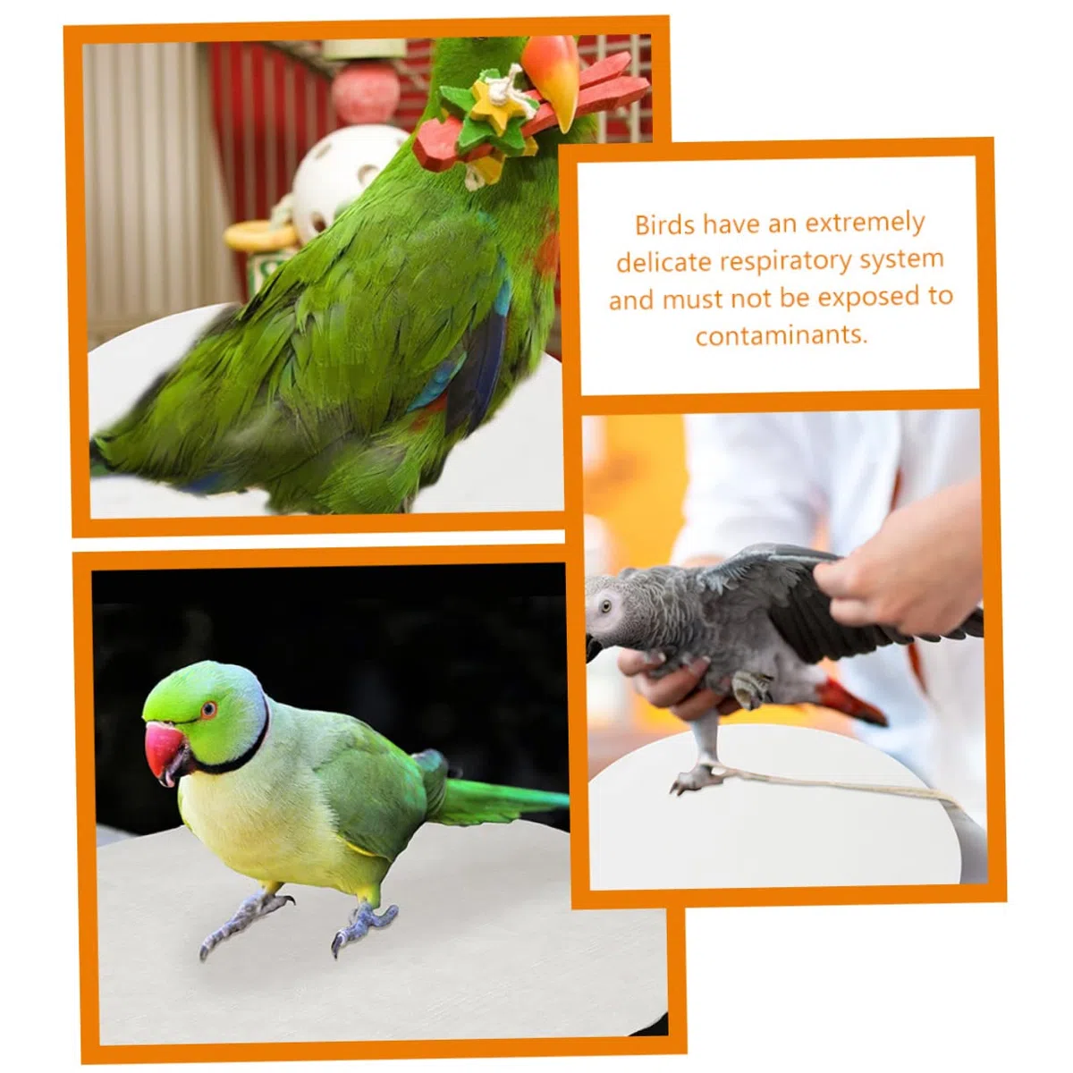 Mipcase 100piezas Desechables Forro para Jaulas De Pájaros Redondo Absorbente para Orina Uso Fondo De Jaula De Pájaros