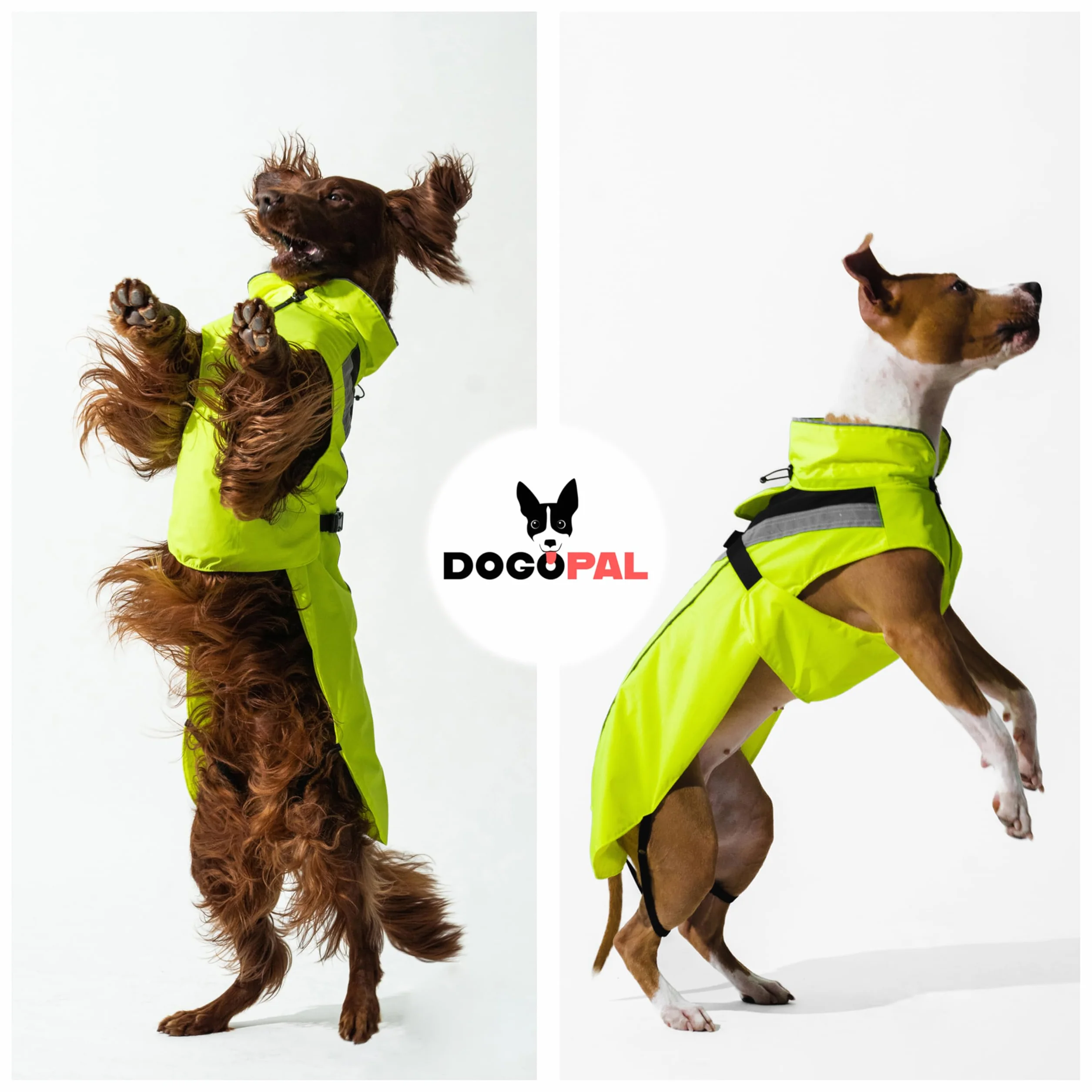 DOGOPAL Chubasquero Reflectante para Perros, Impermeable para Perros, Poncho de Lluvia Ligero con Abertura para arnés para Perros pequeños, medianos y Grandes (Amarillo, XL)