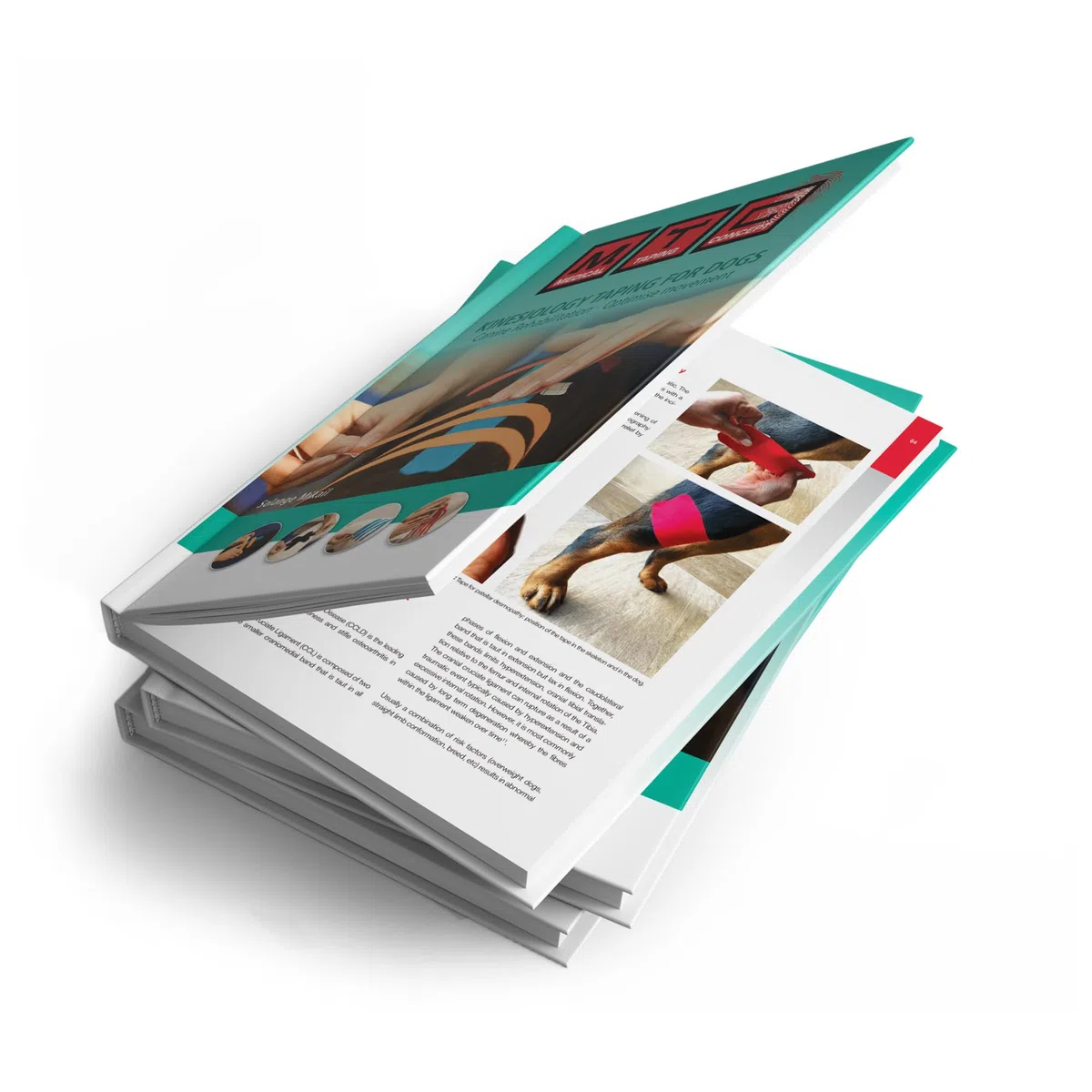 VETKIN Kinesiology taping for dogs