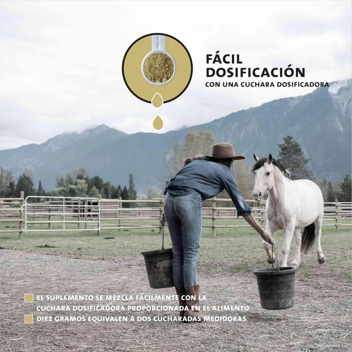 Peticare bronquios y Tos remedio para Caballos | Apoya vías respiratorias y resfriados | Expectorante | Fórmula a Base de Hierbas | Jarabe para la Tos en Polvo | Libre de OGM | petHorse Health 4609