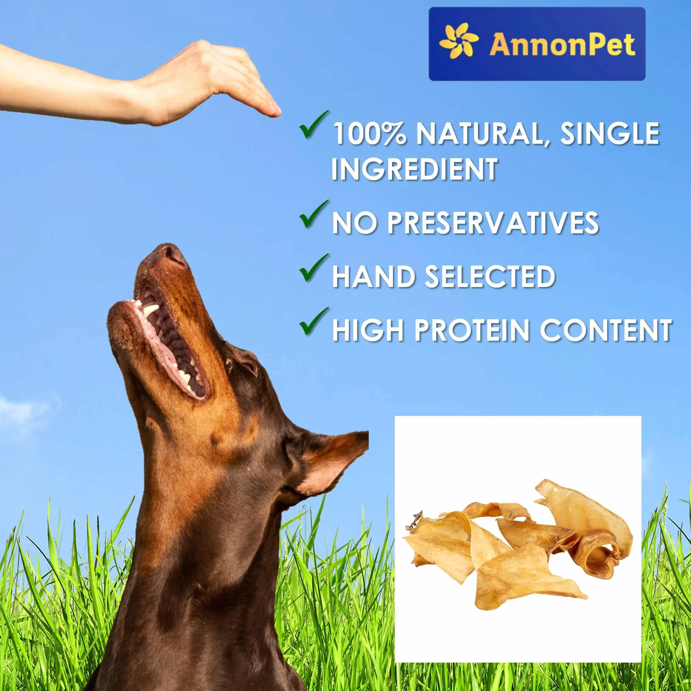 10 orejas secas para perros – Artículos masticables naturales y fáciles de digerir – Rico en proteínas, sin aditivos – Ideal para cuidado dental y alivio del estrés