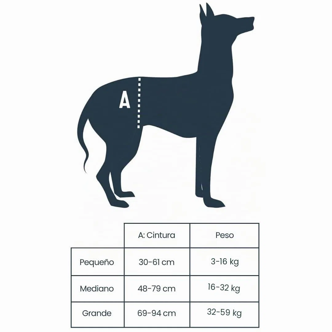 PetSafe CareLift Arnés de Elevación Trasera para Perros, Arnés de Soporte con Asa y Correa, Perros Discapacitados o Ancianos, Material Transpirable y Cómodo, Fácil Ajuste, Perro Grande