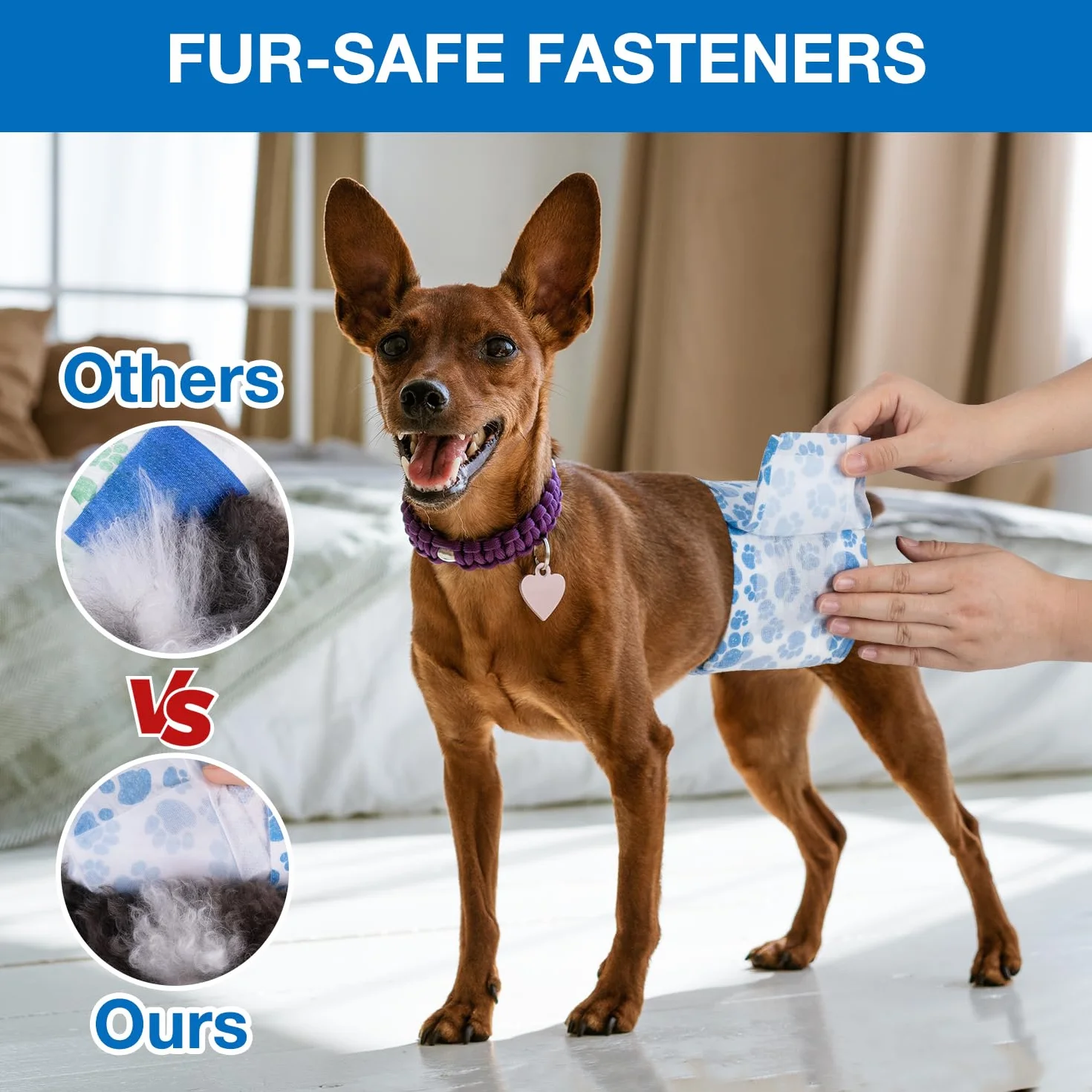 Dono pañales para Perros machos, 40 Unidades, indicador de Humedad, envolturas para la Barriga del Perro, con tecnología de Gel de Secado rápido, pañales para Cachorros con incontinencia, L