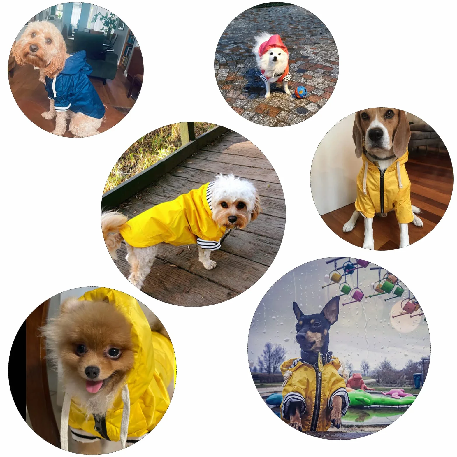 Pethiy - Elegante Chubasquero para perros – Impermeable para perro pequeños y medianos con sombrero y cremallera ,con botones reflectantes, bolsillos, resistente a la lluvia y al agua-Rojo-S