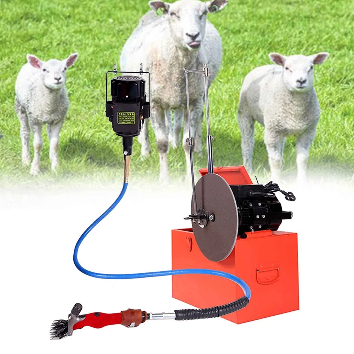 Maquina De Esquilar EléCtrica para Ovejas, Esquiladora para Oveja de Alta Potencia, Cizalla para Cabra Electrónica para Cuidar Cabra Alpaca Camello, SeparacióN del Motor,Red,Sharpener