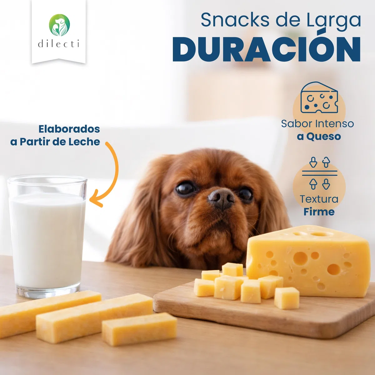 Huesos de Queso Naturales - Los Masticables Naturales Muy Sabrosos, Duros y Duraderos Mantendrán a su Perro Ocupado Durante un Tiempo. (Talla XL, Juego de 3)