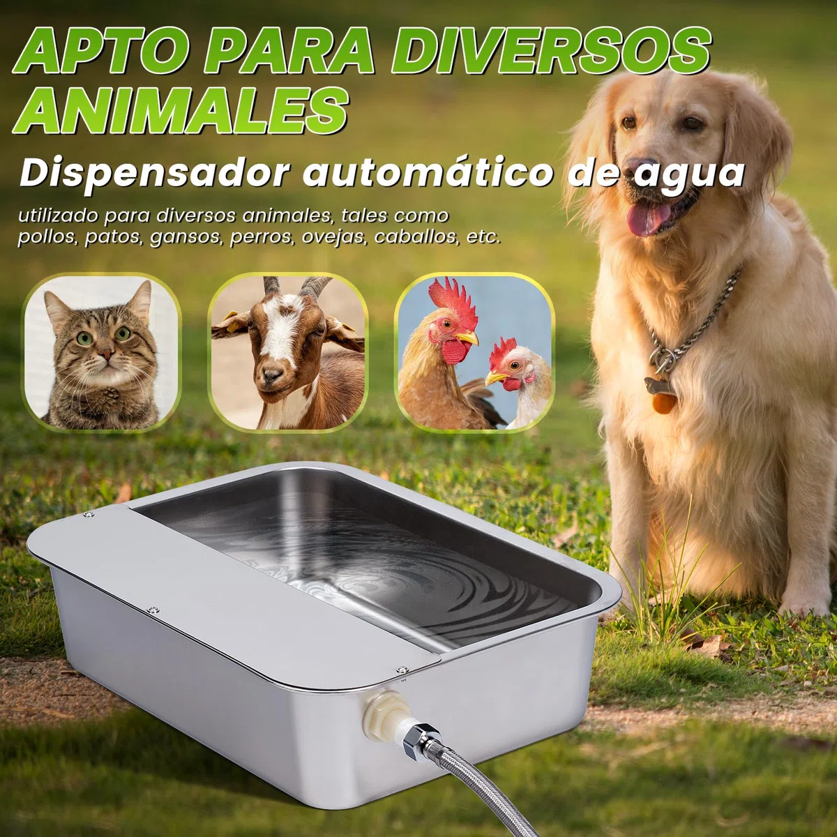 Dispensador Automático de Agua para Perros de 11L con Válvula Flotante, Bebedero para canino al Aire Libre para Dos Chucho, Cuenco de Agua para Perros de Gravedad de Acero Inoxidable (Autocompletar)