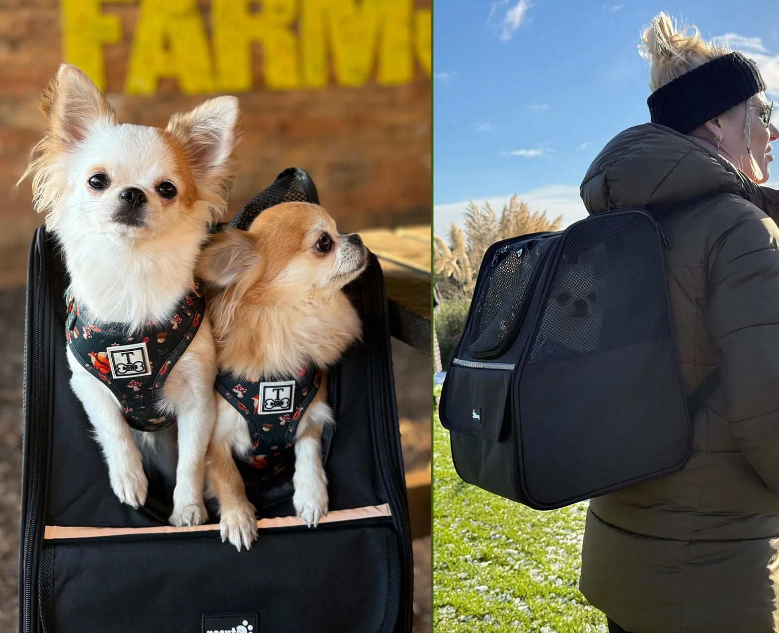 Pecute Mochila Transportadora para Gatos, Mochila Transportadora para Perros Pequeños, Bolso Transportador para Gatos para Viajes Senderismo Paseos en Bicicleta al Aire Libre
