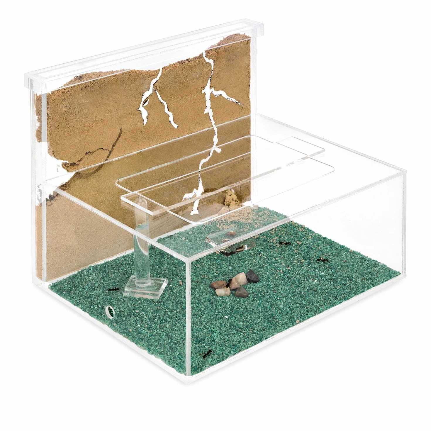 Anthouse.es - Hormiguero Natural de Arena - Kit en acrilico a Forma de L (Sándwich + Caja de Forrajeo) - Granja de Hormigas con Colonia de Hormigas Incluida - 25x20x1 cm y 10x24x10 cm - Transparente