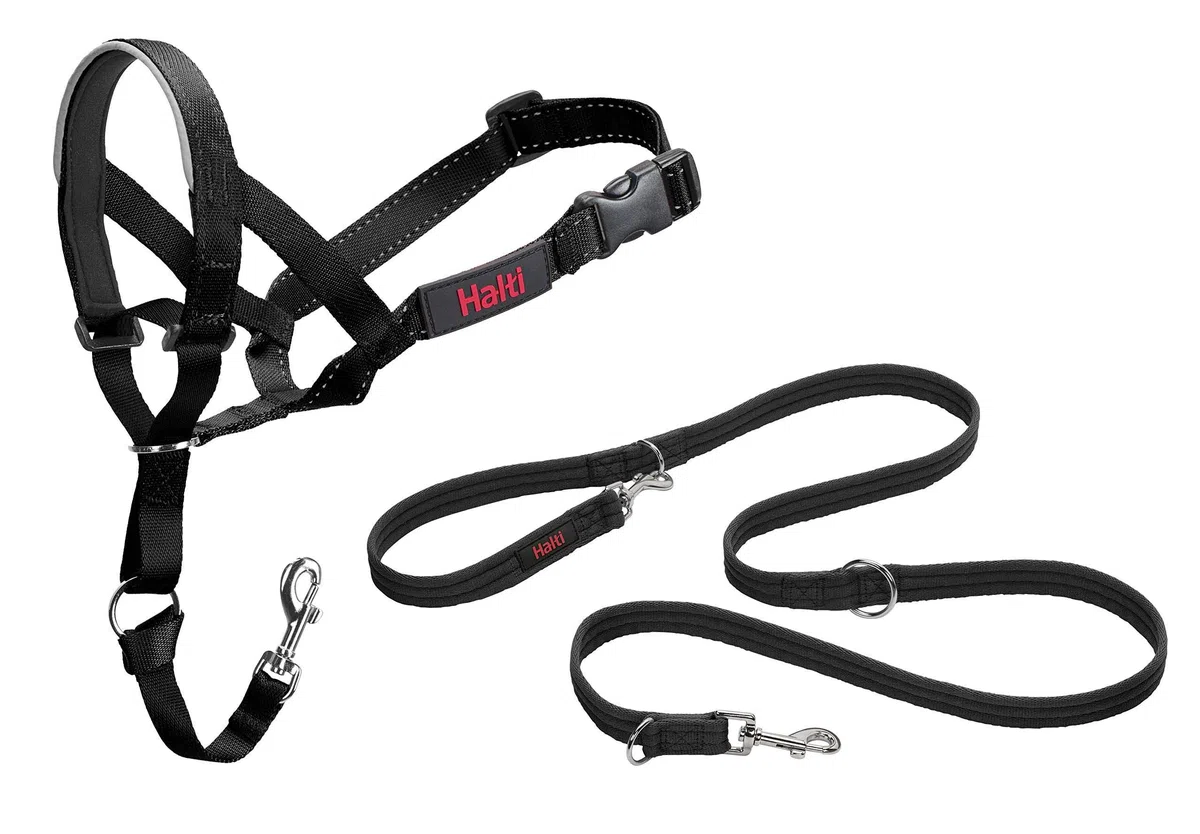 HALTI Headcollar Talla 3, Negro y Correa de Entrenamiento HALTI tamaño Grande, Paquete Combinado Negro - Evita Que tu Perro Tire de la Correa. Ajustable, Ligero con Banda para la Nariz Acolchada.