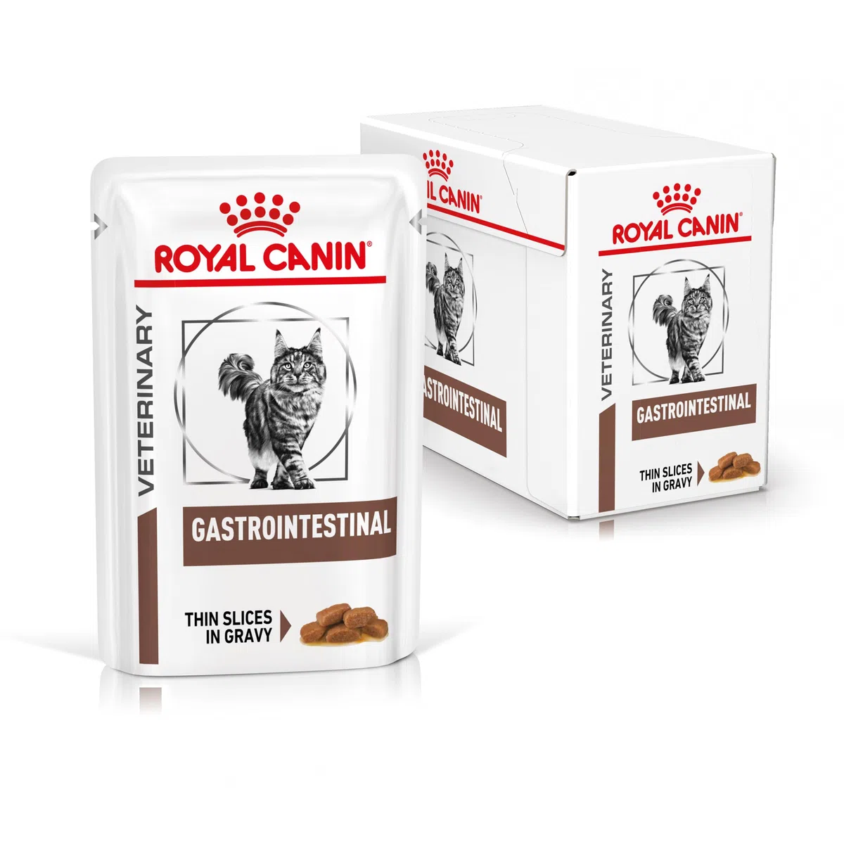 Royal Canin Veterinary Gastrointestinal | 12 x 85 g | Comida húmeda para Gatos Adultos | Trozos Finos en Salsa | para trastornos de absorción intestinal