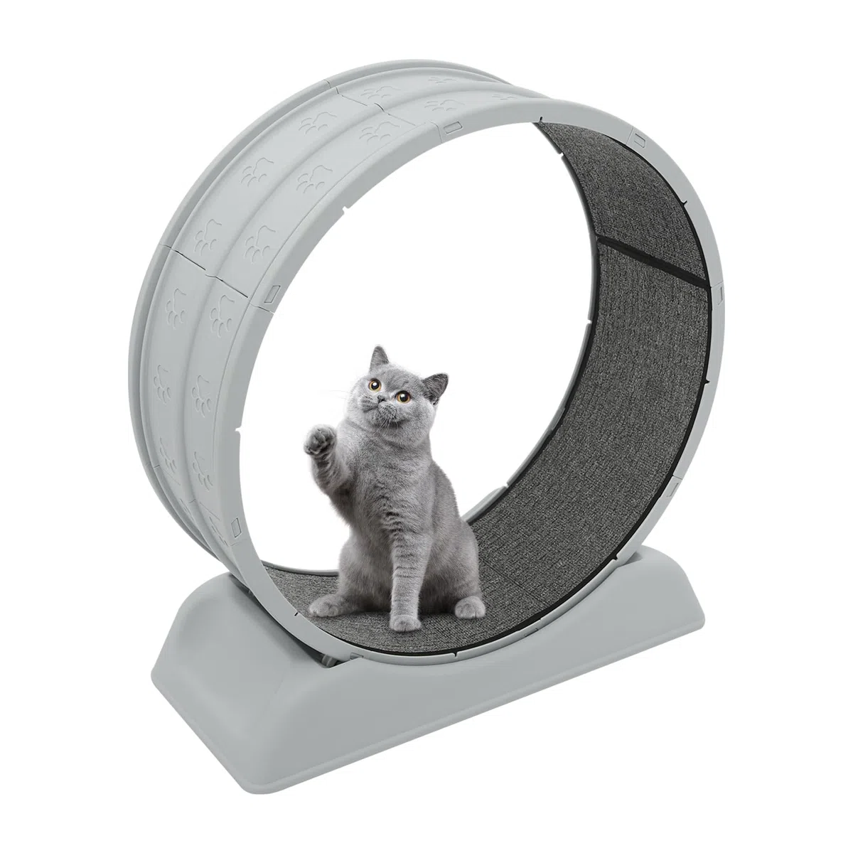 Rueda de 80 cm para gatos con gato Teaser, duración controlable de uso, rueda para correr, caminar y entrenar, hasta 10 kg (gris)