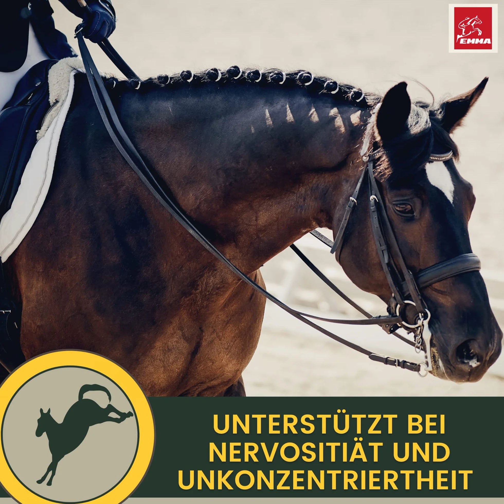 Magnesio Caballo 3 * 30ml Pasta Calmante para Caballos I Refuerzo Calmante Antiestrés I L-Triptófano I para el Transporte de la Ansiedad I Pasta de Magnesio Serenidad Caballo Nervioso Alta Dosis