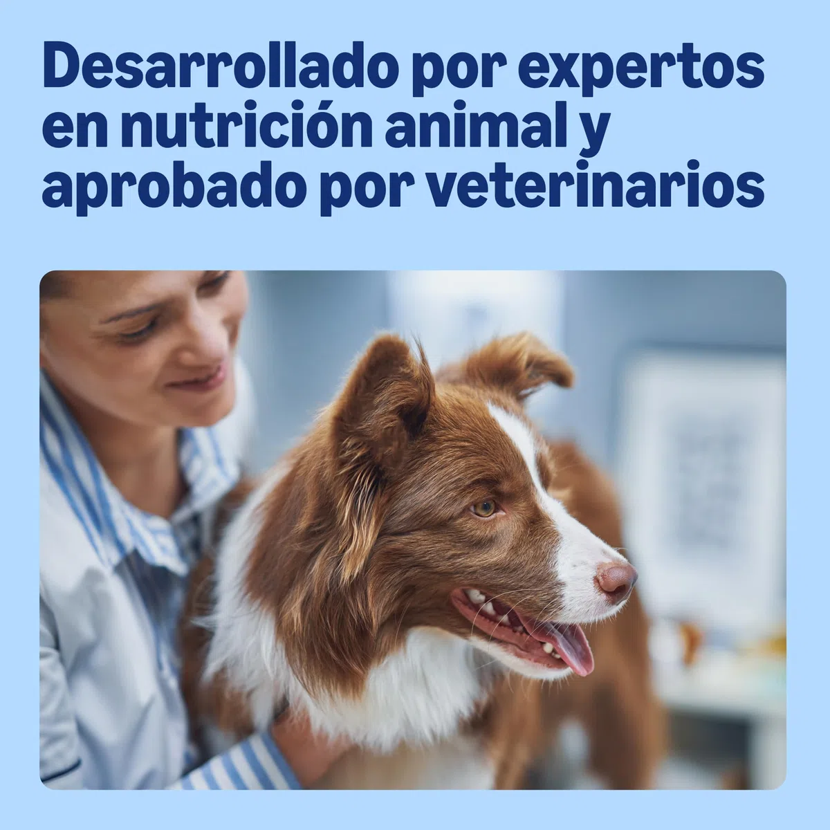 by Amazon - Alimento seco completo para perro adulto rico en vacuno con guisantes, 20kg, Paquete de 1