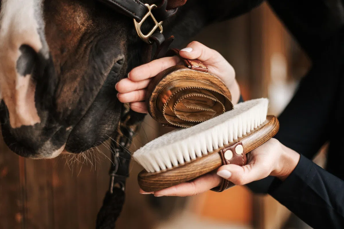 Cepillo de brillo – 100 % pelo de cabra | Cepillo para caballos con mango de madera y correa de cuero vegano | Cuidado suave del pelaje con acabado brillante y antielectrostático