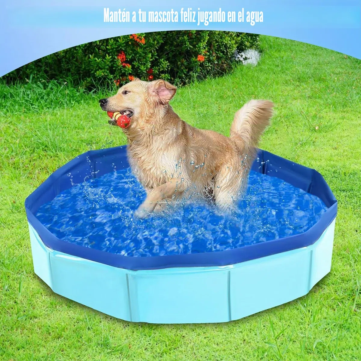 Piscina plegable para perros y gatos, mini piscina portátil para perros y gatos (50 x 10 cm)