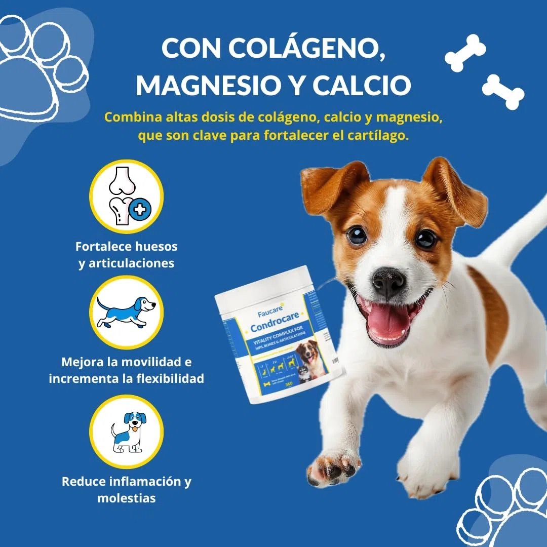 Condroprotector Perros 360 Uds (1 Año) Colágeno Magnesio y Calcio, Mantenimiento Articular, Glucosamina, Condroitina, Cúrcuma, Vitality Complex para Movilidad, Huesos. Faucare