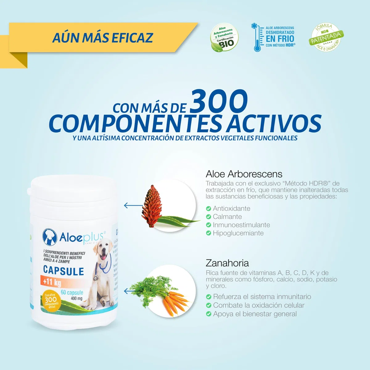 Aloeplus Suplementos cápsula para Perros 11+ kg. - Suplemento Natural a Base de Aloe arborescens - Estimula el Sistema inmunológico - para el Bienestar de los Perros de 11 kg en adelante