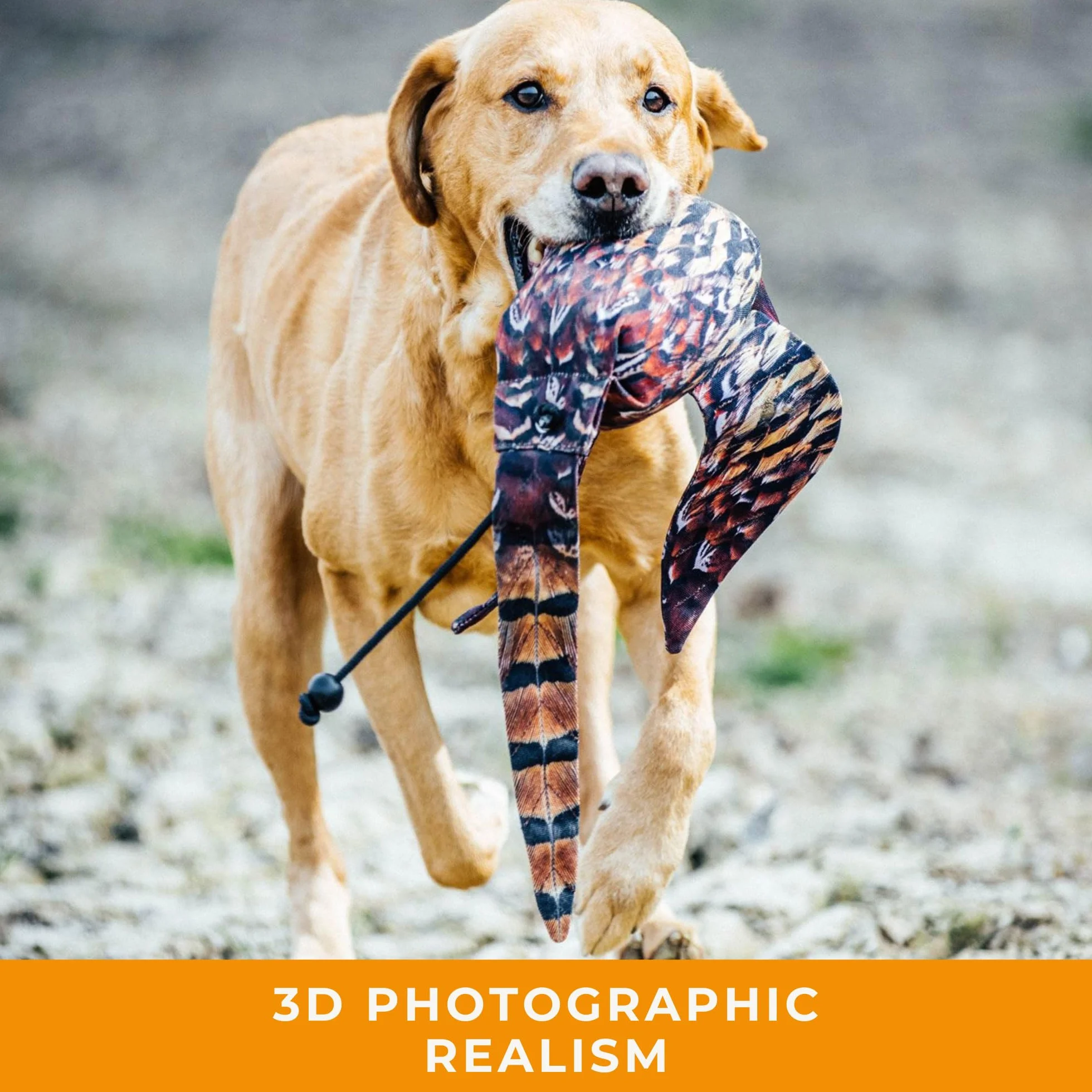 The Original Clone - Chupete Realista de Entrenamiento para Perros de Caza de Aves – Maniquí de Lona con impresión de Plumas HD para Entrenamiento de Perros y Cachorros – Equipo de Entrenamiento de