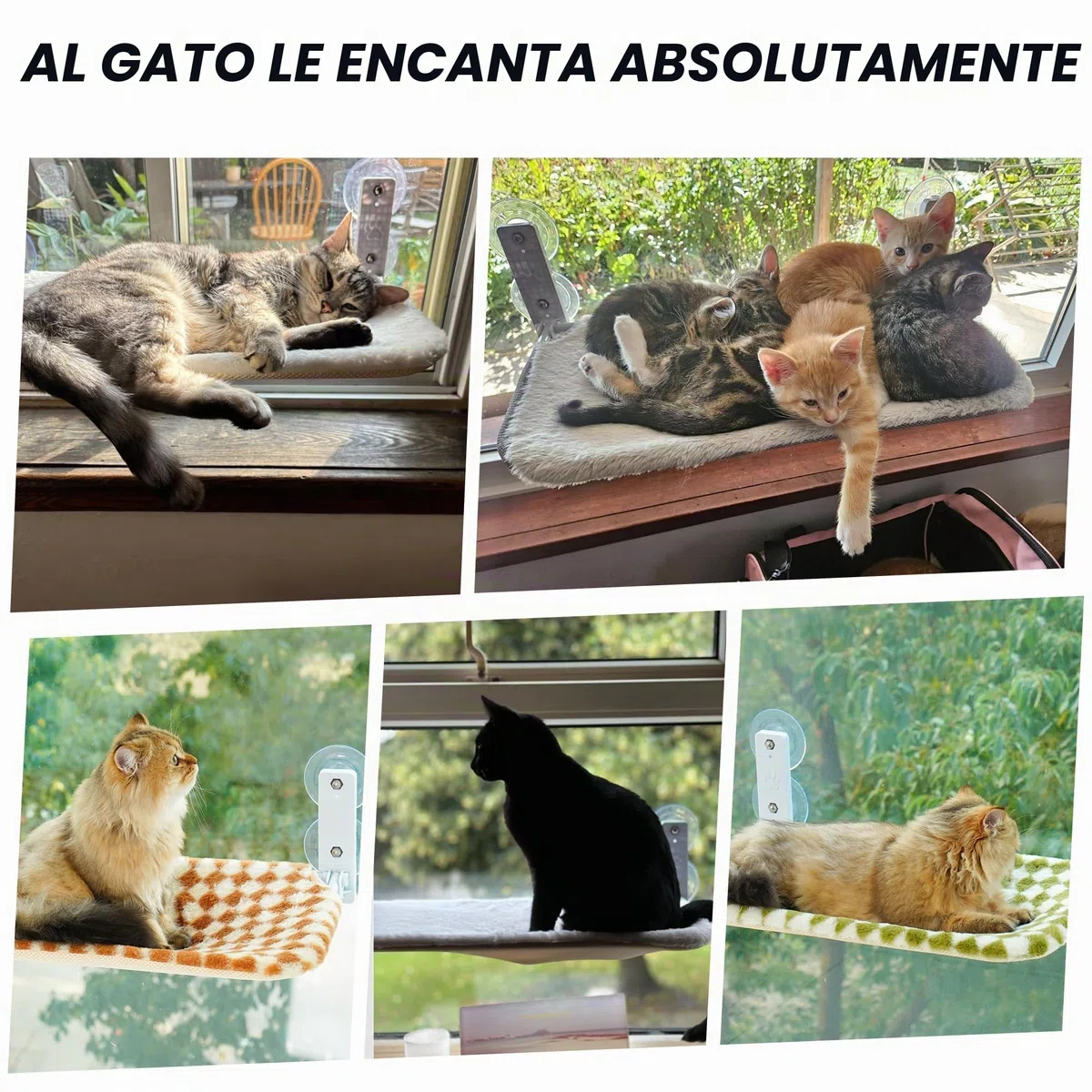 EDAGNY Hamaca para Gato Ventana Confort con Alfombra Reversible y Lavable - 54x30cm Hamaca para Gato Cama Ventana Estructura Metálica Resistente Soporta 18kg, Gris M