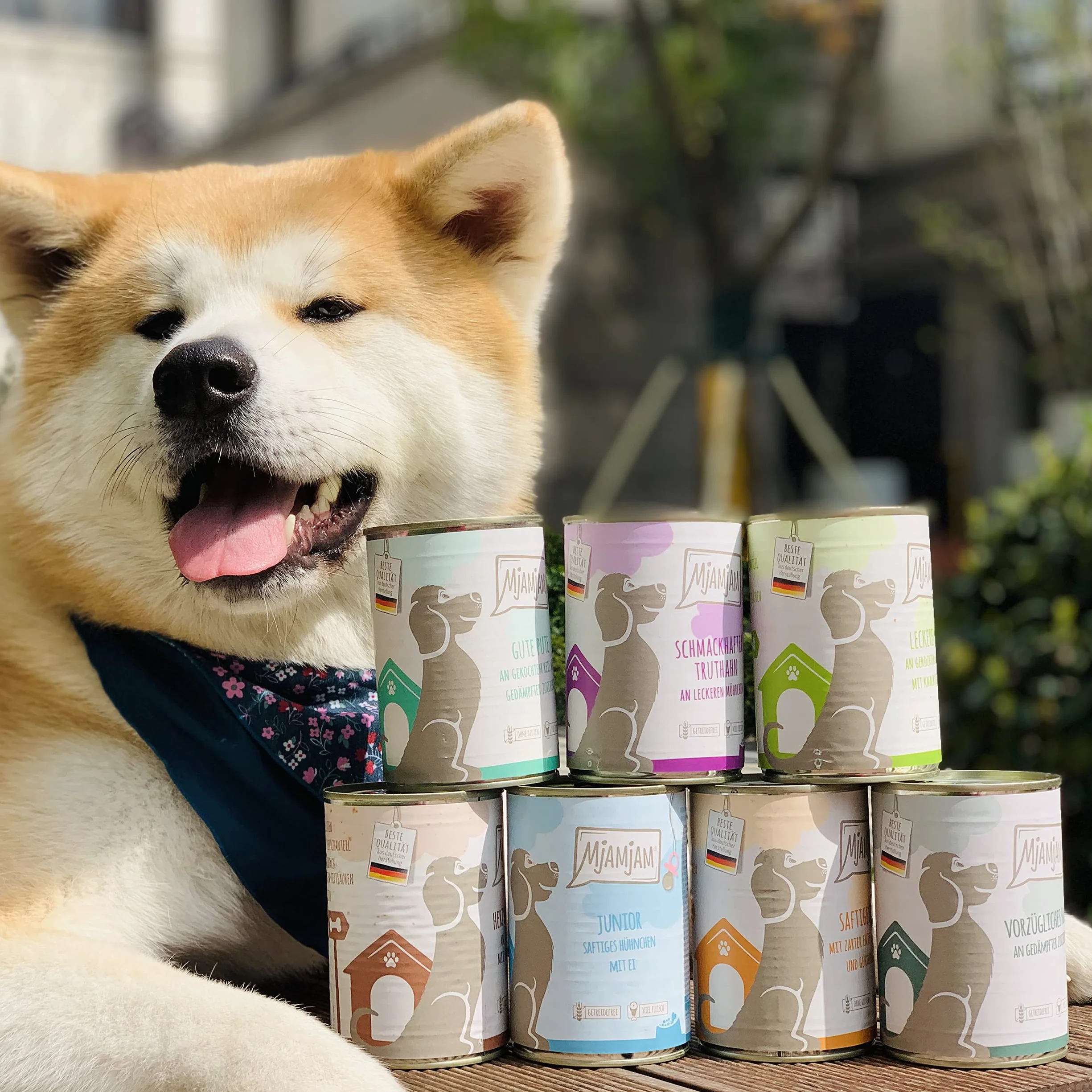 MjAMjAM - comida húmeda premium para perros - sabroso pavo con deliciosas zanahorias, pack de 6 (6 x 800 g), sin cereales con extra de carne