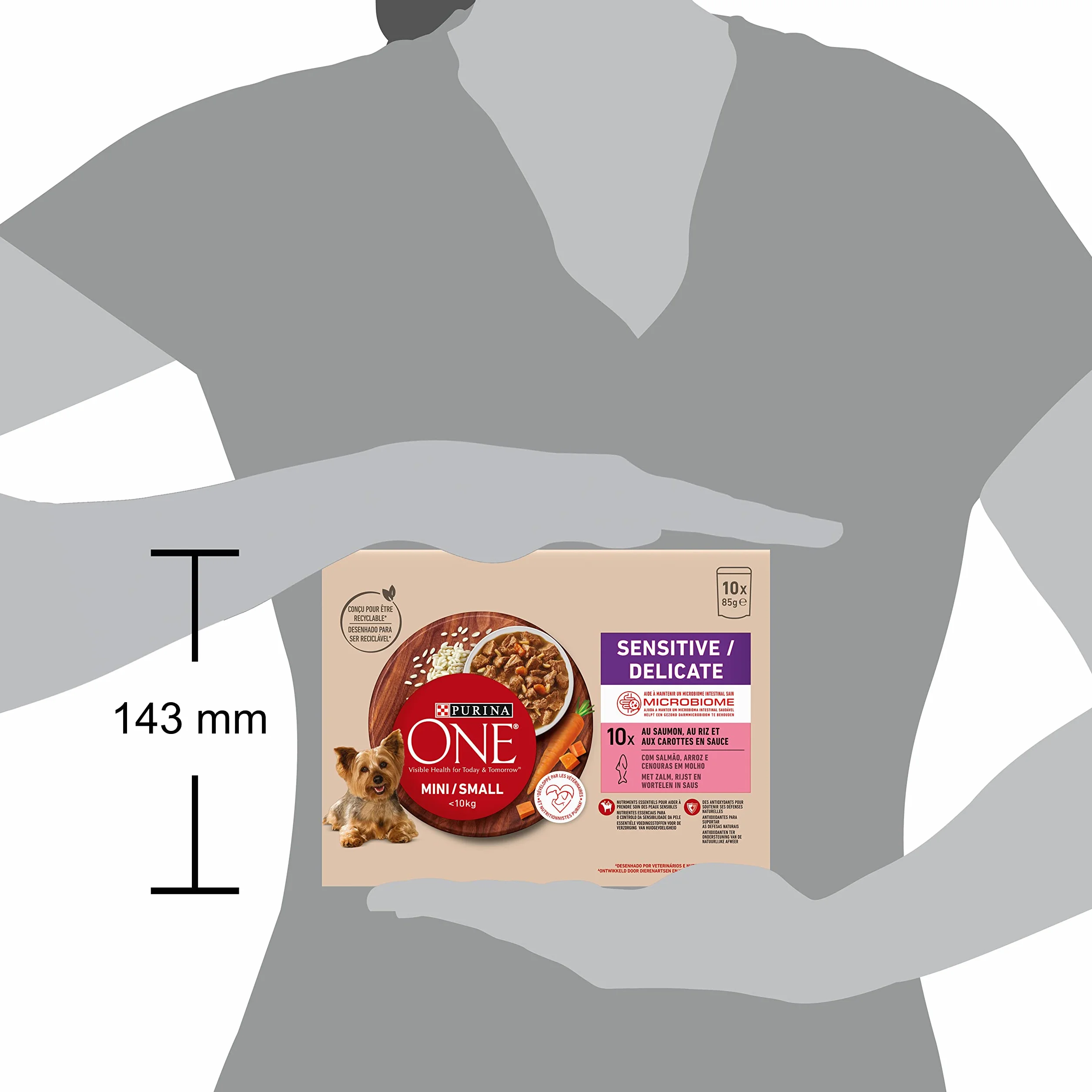 PURINA ONE Mini/Small <10 kg Sensitive/Delicado, Afilado con salmón, arroz y zanahorias en salsa para perros adultos de tamaño pequeño | Digestión sensible bolsas de comida 10 x 85 g | Lote de 6