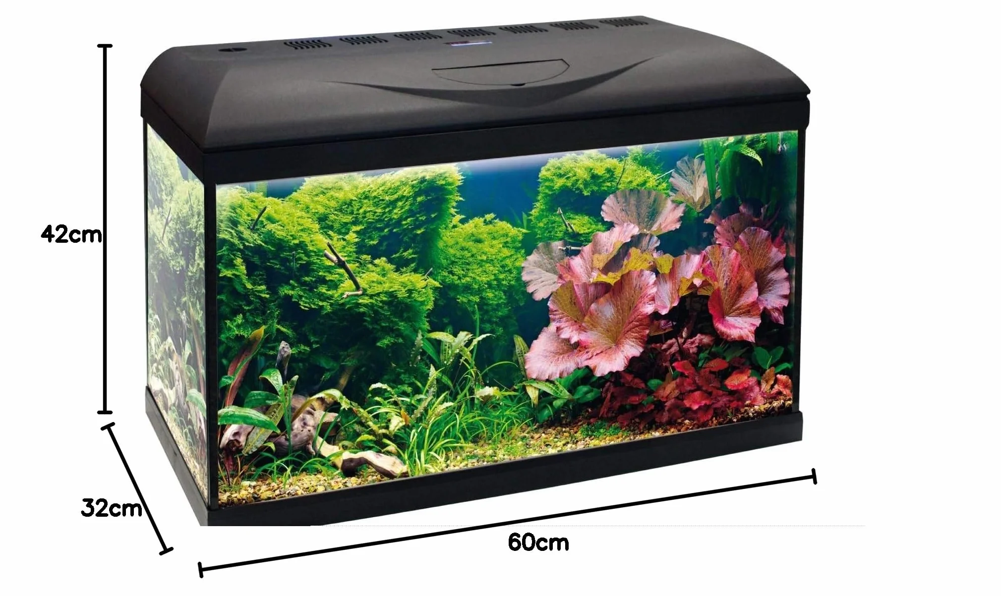 Amtra Wave Basic 60 Led - Acuario Completo De 65 Litros, Iluminación De 8 Watios, Filtro Interno Y Calentador, 60X32X42 Cm