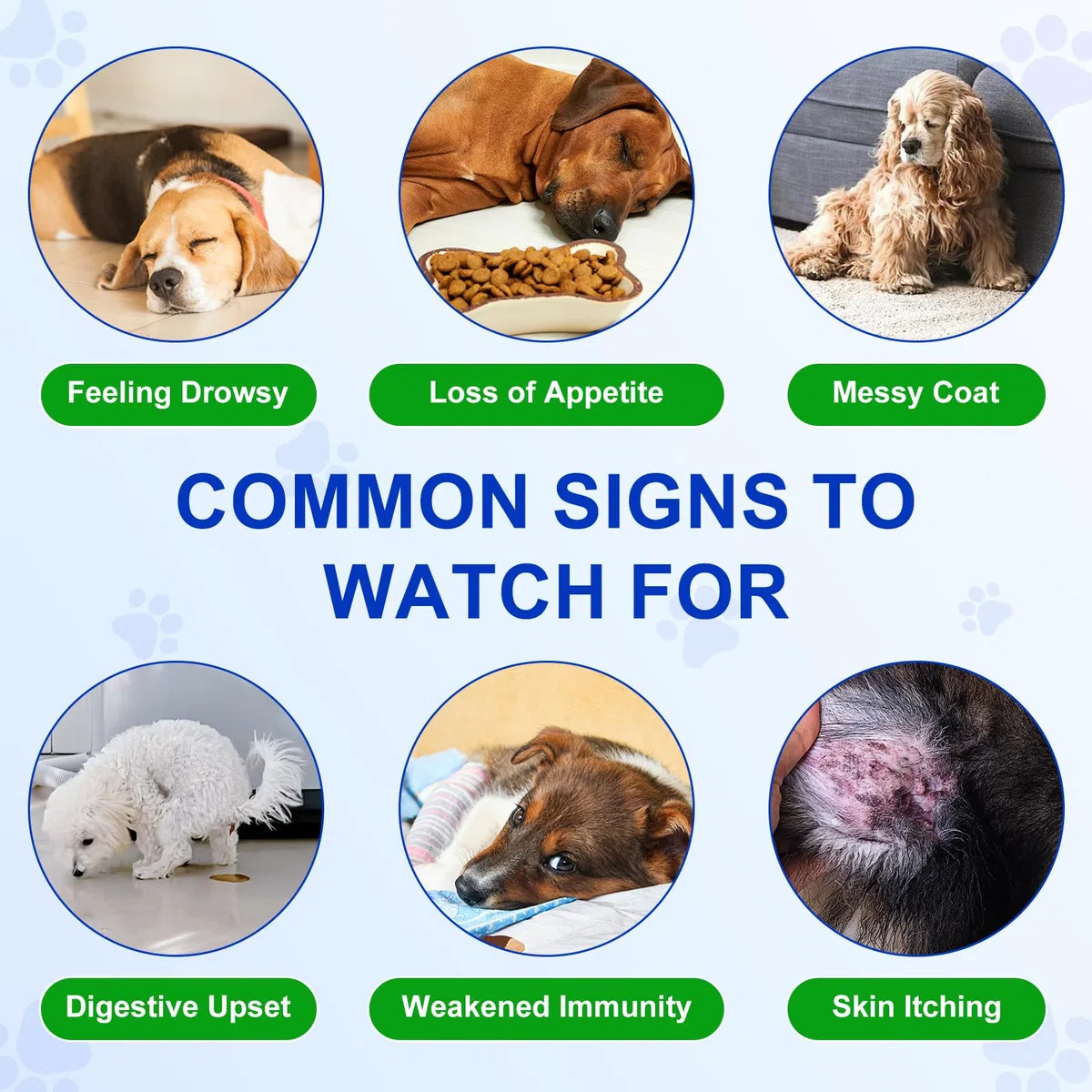 Probióticos para perros, 150 probióticos para la salud intestinal de los perros, pre y probióticos para el apoyo a la salud digestiva del perro, aumenta la salud intestinal y la inmunidad, sabor a