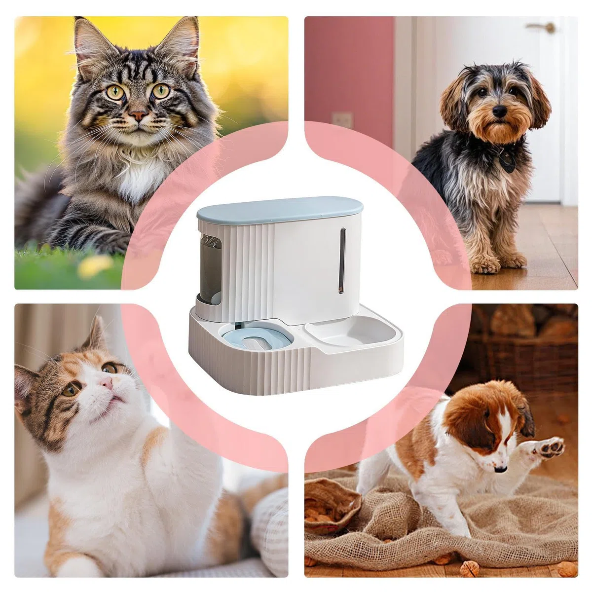 Dispensador de Comida y Agua para Gatos | Bebedero 2 en 1 para Cachorros,Dispensador Automático de Comida para Gatos Desmontable de 3L - Uso con Y Cachorros En El Hogar Interior Y Vacaciones