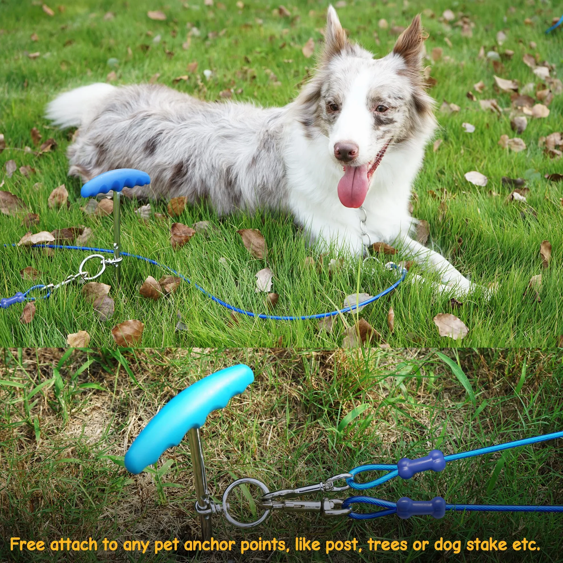 Petphabt - Cable de amarre resistente para perros de 6 m con espiral de perro de 16 pulgadas en estaca de tierra para cachorros y mascotas al aire libre (verde azulado)