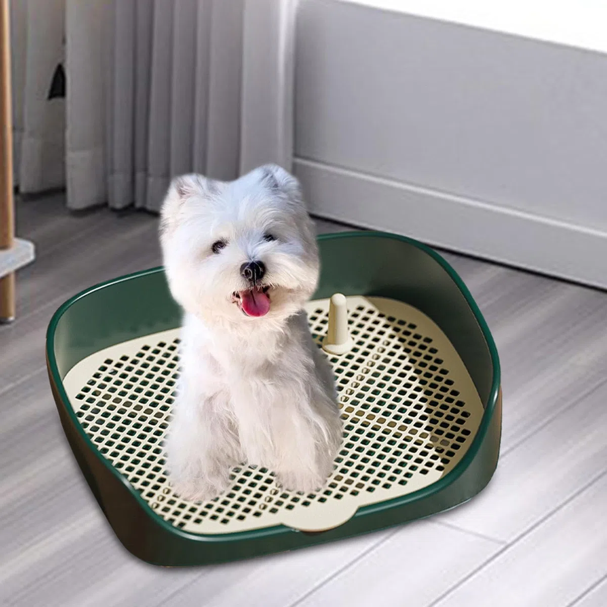 Bandeja de Entrenamiento para Orinal para Cachorros, Inodoro para Perros, Mantiene Las Patas Secas Y Los Pisos Limpios, Caja de Arena, Rincón de Entre, Verde l