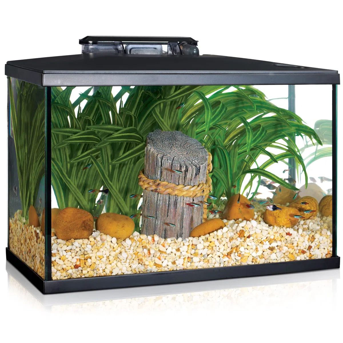 Marina Kit de Acuario con Iluminación LED 5G, 19 L