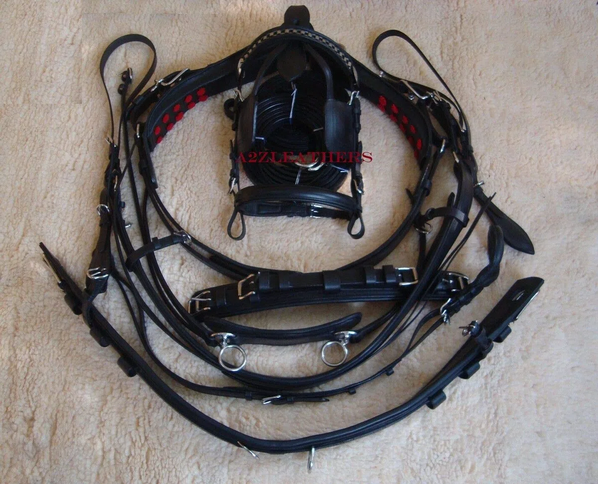 Equestrian Universe - Arnés de conducción de cuero negro de calidad exclusiva para carro de caballo (mazorca)