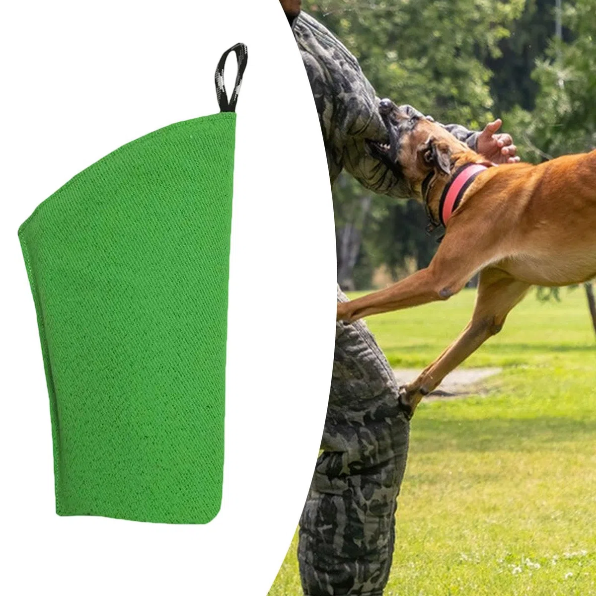 Baoblaze Manga de Perros Manga Profesional sólido Juego Interactivo Protection Equipo de Entrenamiento de Perros para Trabajos Perros jóvenes para Perros
