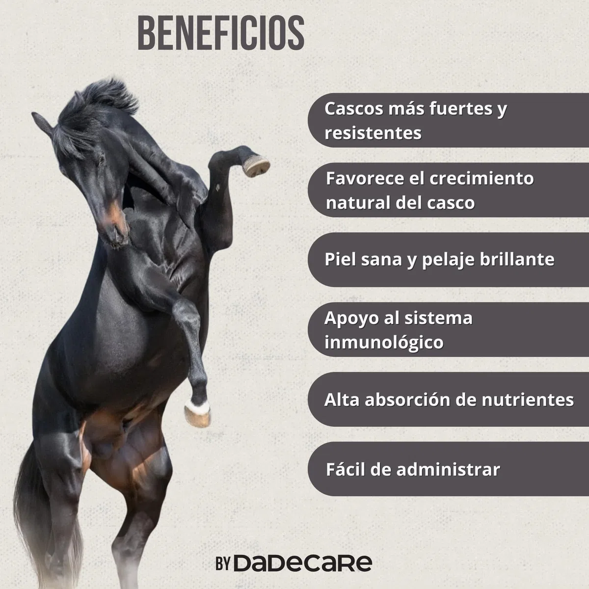 Hoofcare - Biotina y Zinc para Cascos Caballo 750g – Casco Fuerte y Crecimiento Natural – Ideal para Cascos Frágiles, Cambio de Pelaje y Caballos Deportivos – Cuidado Pezuñas, Piel y Pelaje Equino