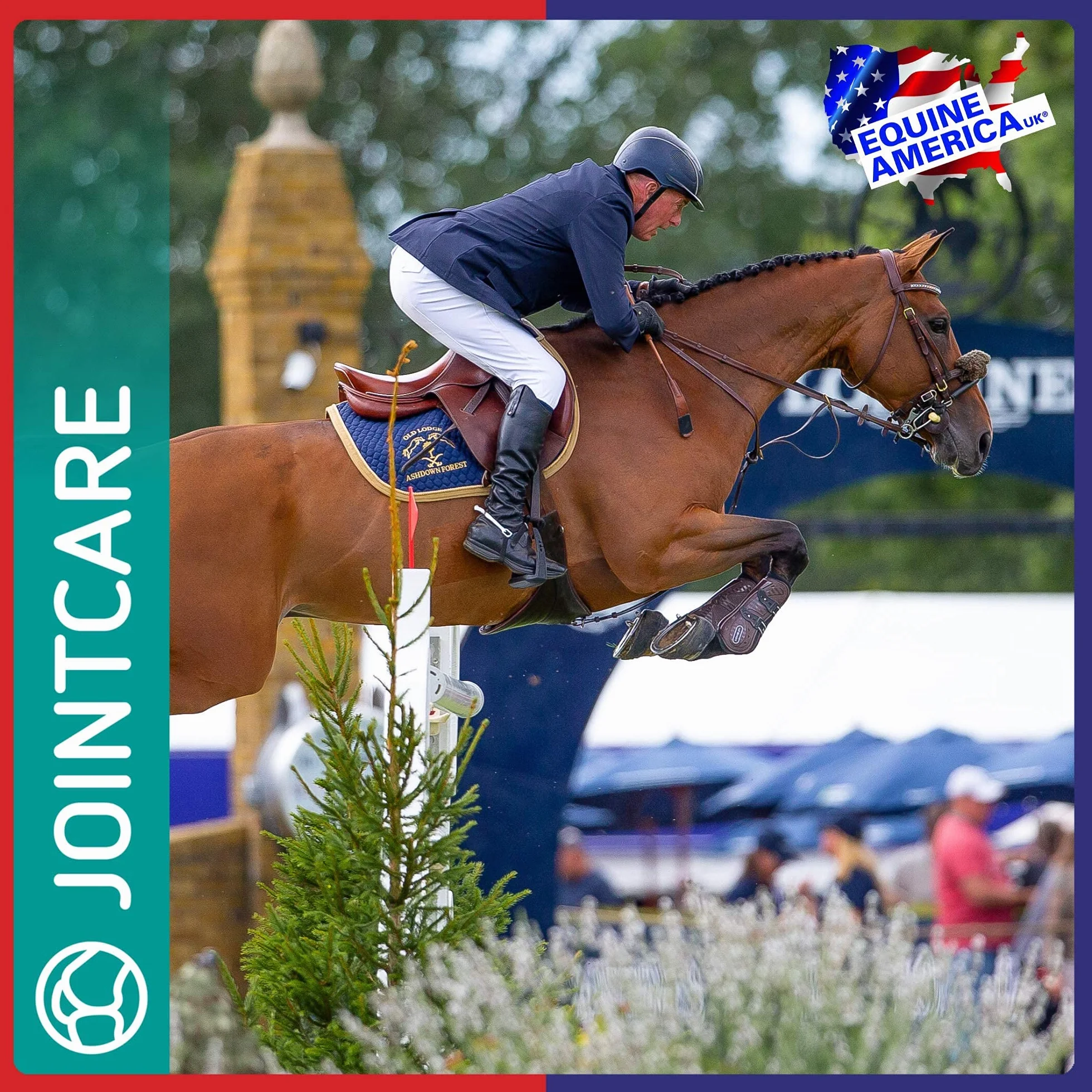 Cortaflex Regular Strength Powder | Gebrauchsfertiges Premium-Ergänzungsmittel für Pferde und Ponys | Umfassende Unterstützung für Die Gelenke 900g
