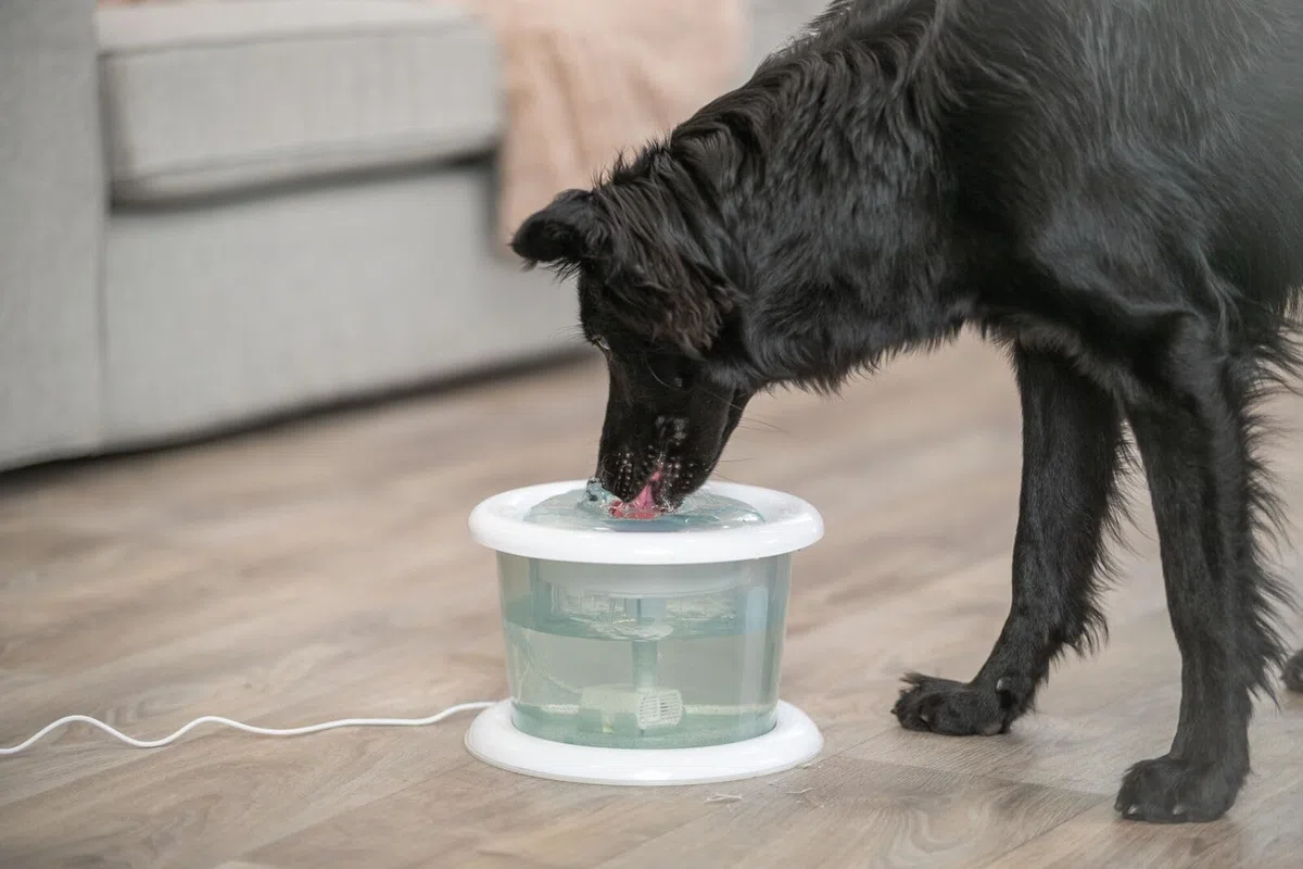 TRIXIE Fuente Automática Bubble Stream para Perros