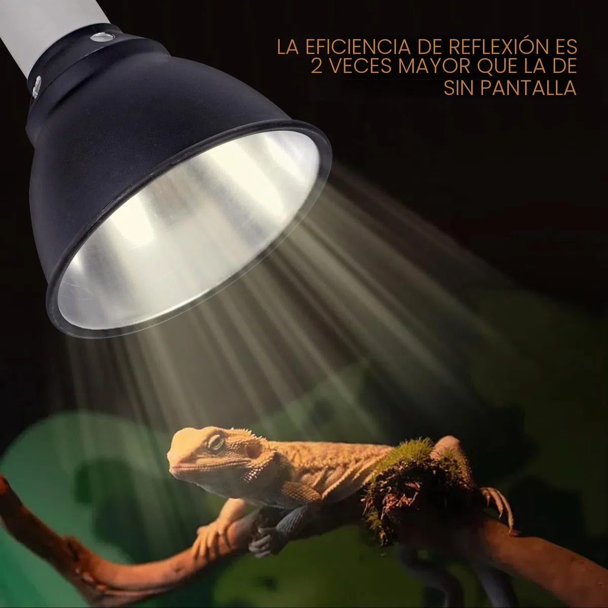 Soporte para Lámpara de Reptil Diámetro de 5.5 Pulgadas con Clip Cúpula Profunda Casquillo E27 Lámpara de Reptil paraTortugas Serpientes Lagartos Pollos Pájaros Camaleones