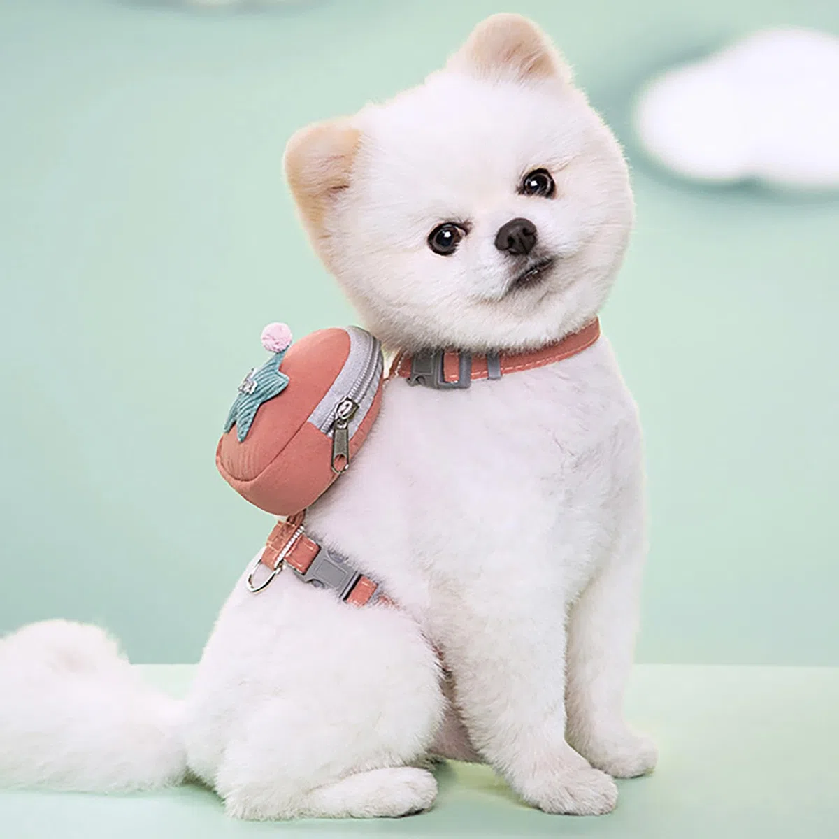 Zankie arnés Mochila para Perro - Mochila con arnés para Perros y Gatos con Correas Ajustables,Ropa para Perros Decoración para Mascotas para Caminatas diarias, Caminatas, Entrenamiento
