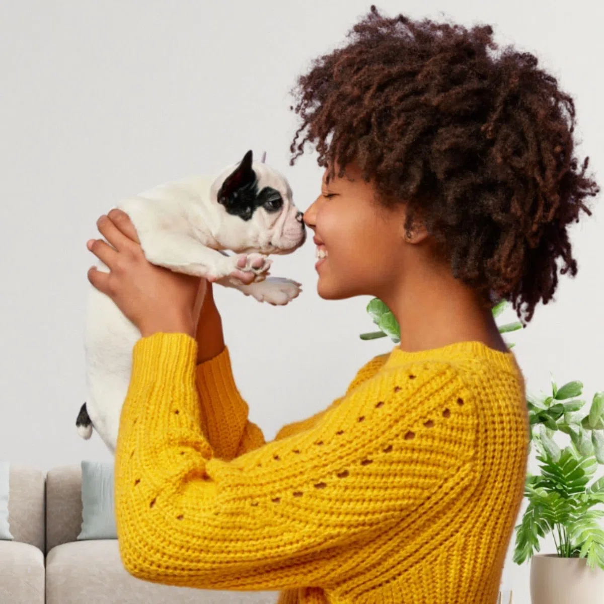 Champú de Manzana Verde - Champú para Gatos y Perros - 1 L - Ayuda a Conseguir una Profunda Reestructuración del Cabello - Ideal para Pelos Largos - IV San Bernard