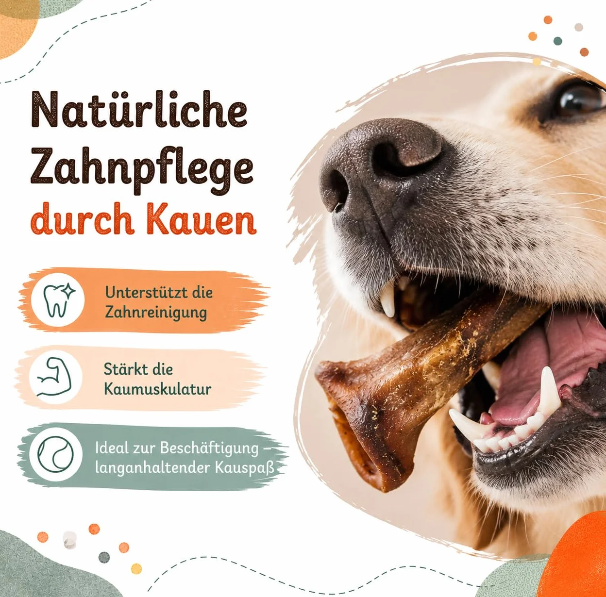 Hocicos de cerdo secos para perros, masticables naturales y aperitivos masticables de cerdo, rico en proteínas, fácil de digerir, sin cereales ni aditivos artificiales, secado al aire, Lucze (1 kg)