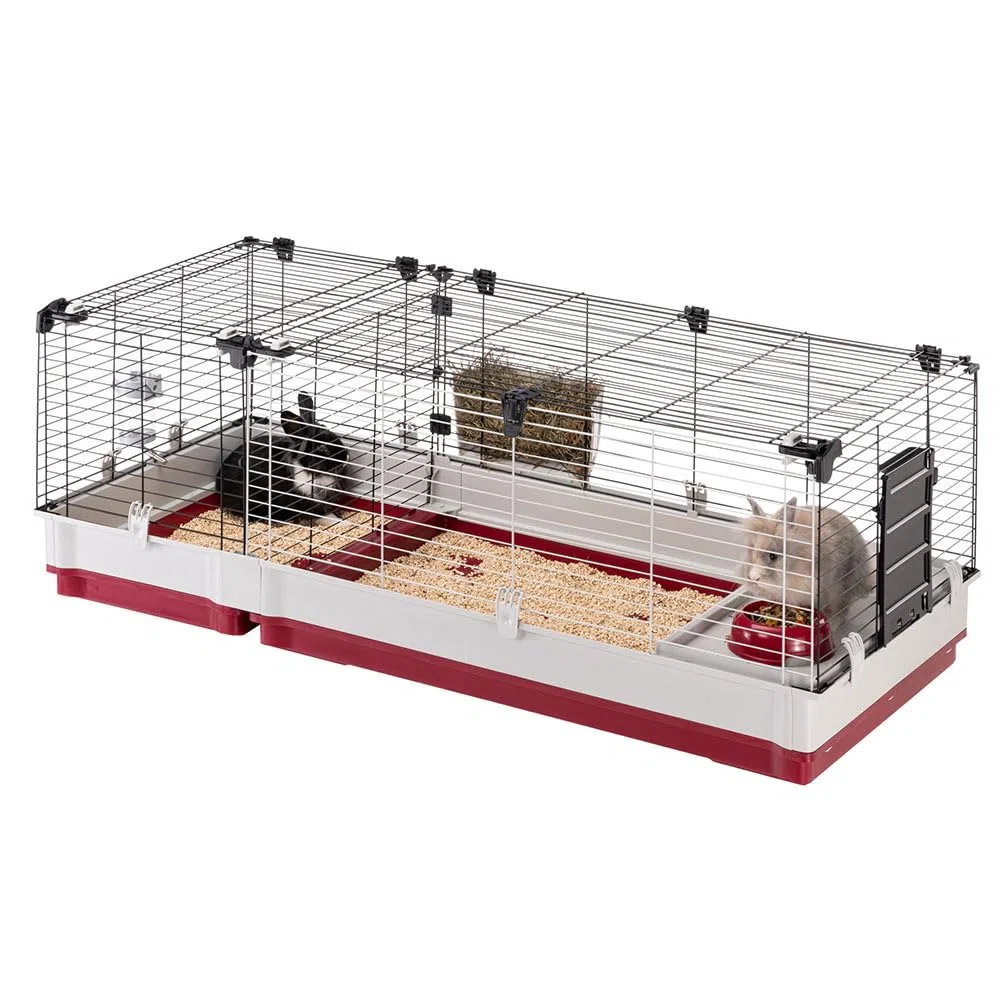Ferplast Jaula Conejos KROLIK 140 - Espaciosa y Modular, Techo Abatible, Escalera Frontal, Clips de Seguridad - Accesorios Incluidos - Eco-Sostenible - 142 x 60 x h 50 cm