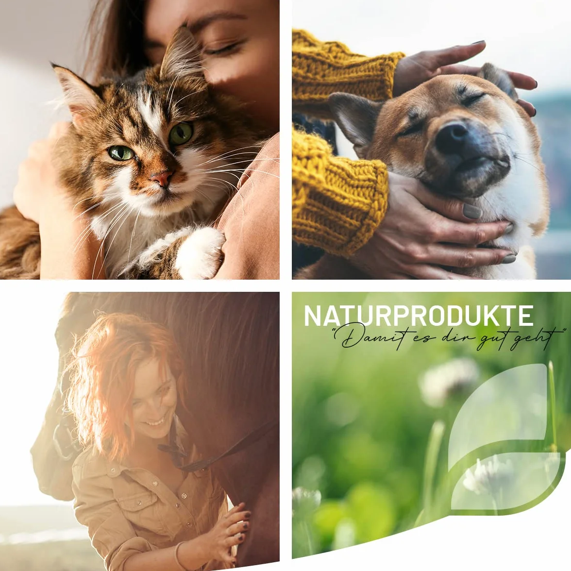 ReaVET Champú para cachorros, aloe vera, 250 ml, extra suave para perros, cachorros, champú para perros, champú para perros, pelo brillante y fácil de peinar, sin perfume, champú para perros Sensitiv