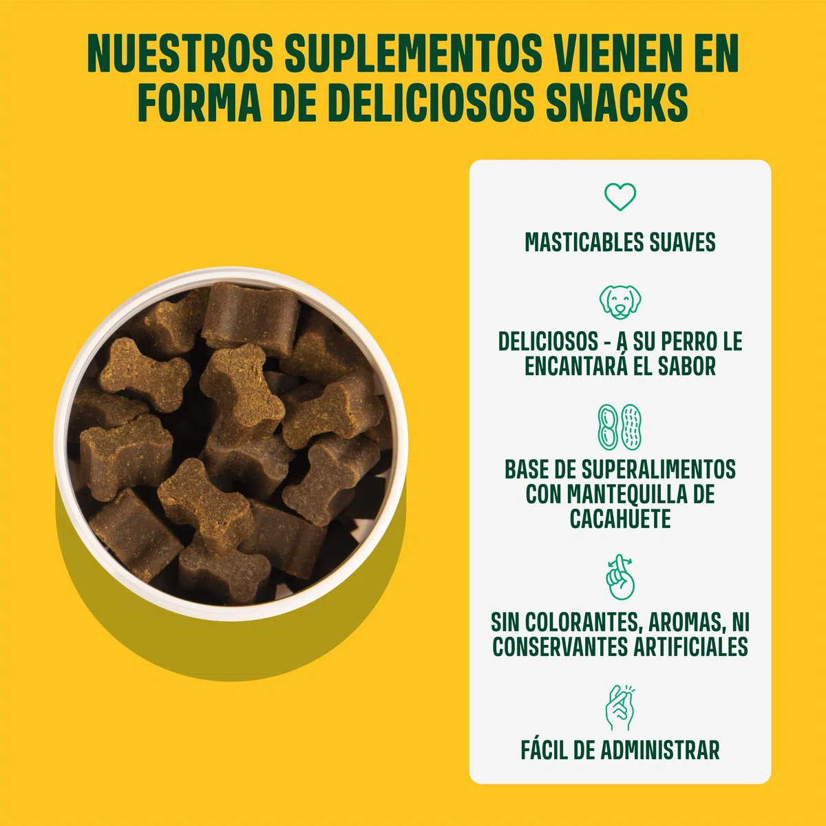 ivvi Probiotic Complemento Alimenticio para Perros Bienestar Digestivo – Probióticos, Calabaza, Avena, Semillas de Lino y Calabaza - 60 Deliciosas Golosinas Vegetarianas, 270g