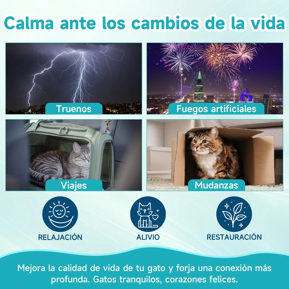Woyamay Difusor de Feromonas para Gatos y Recambios, Calmante Gatos y Tranquilizantepara Gatos con 2 Difusor + 4 Recambios de 48 ml, Relajante para Gatos hasta 120 Dias