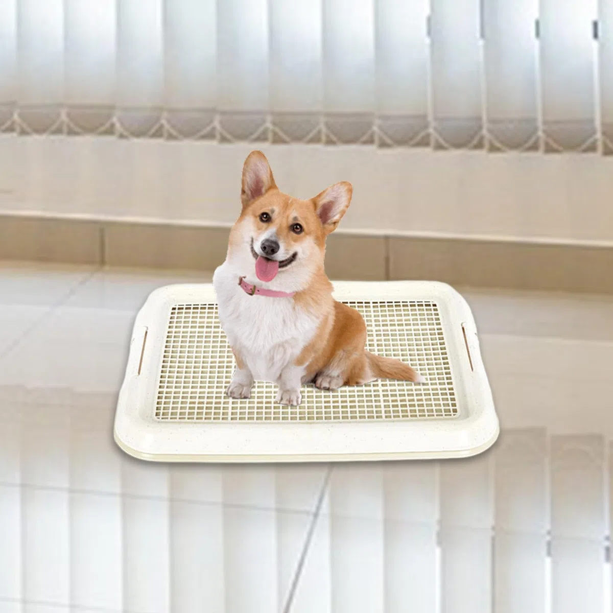 rockible Orinal para Perros, Caja de Arena para Perros, Soporte para Almohadilla para Orinar para Cachorros, Bandeja para Orinal de Malla para Cachorros